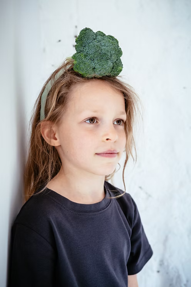 Concept SLA-tje, het SLA-lokaal Concept SLA-tje, het SLA-lokaal